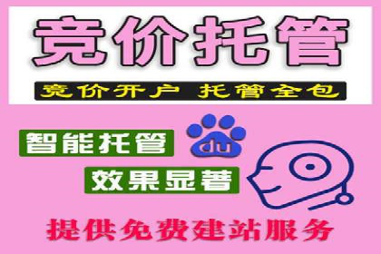 成功案例：竞价推广助力企业拓展海外市场